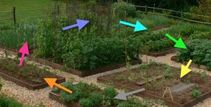 crop-rotation-beds-2x