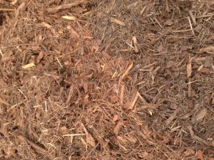 teatreemulch