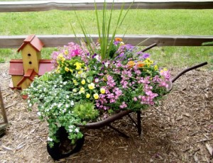 Wheelbarrow Planted with Flowers