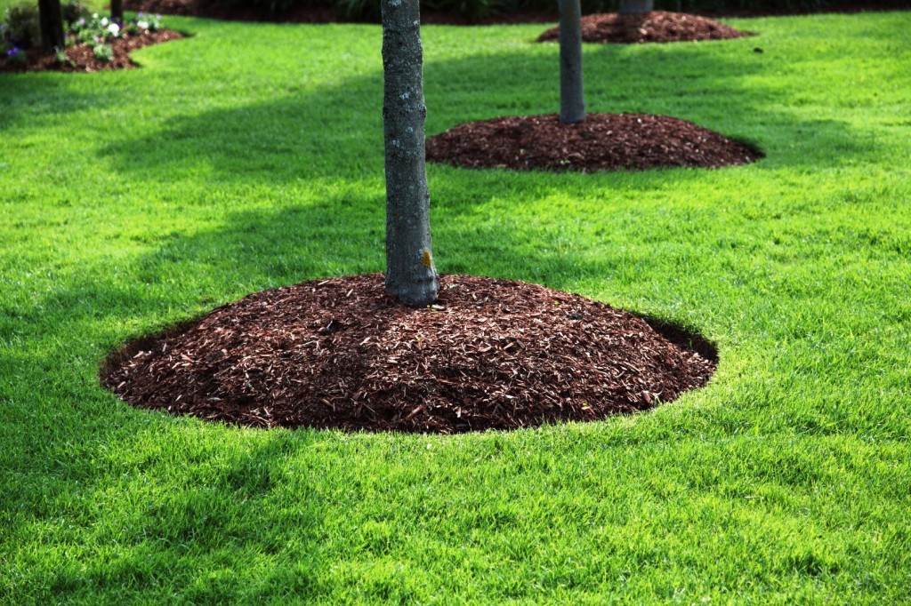 3-myths-about-mulches-jim-s-mowing-nz