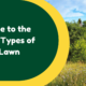 types of weeds in lawn