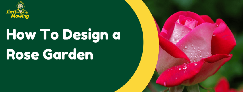 how to design a rose garden