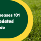 Grass Diseases 101