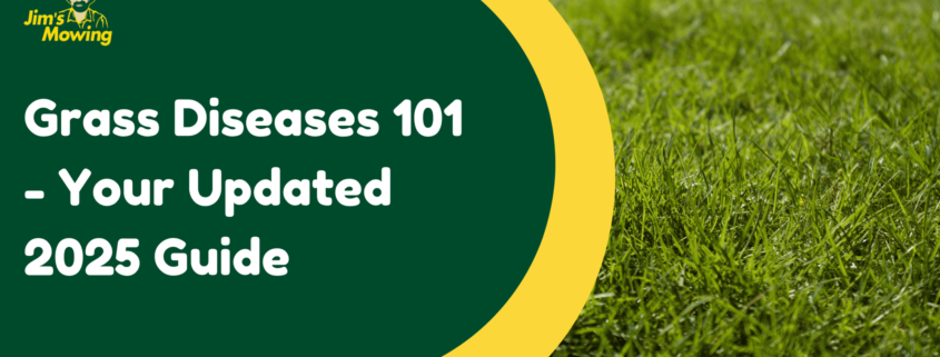 Grass Diseases 101